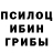 Псилоцибиновые грибы Psilocybine cubensis competent