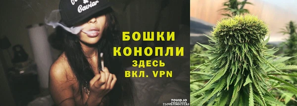apvp Козельск