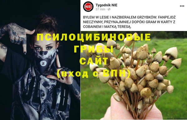 бошки Козловка