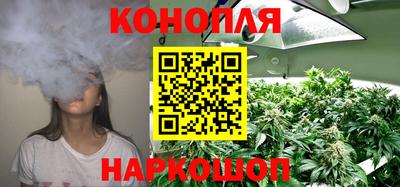 ешки Славгород