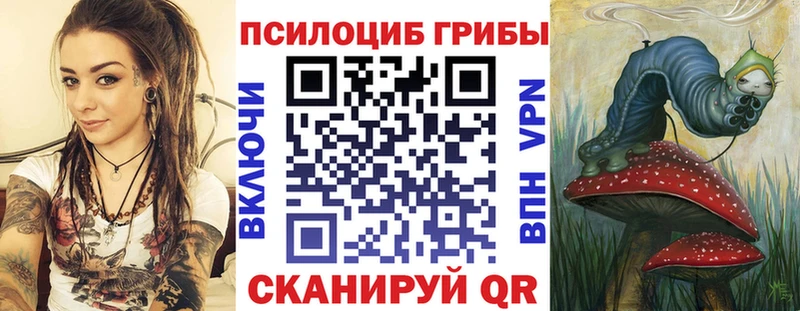 площадка официальный сайт  что такое наркотик  Советский  Галлюциногенные грибы Magic Shrooms 