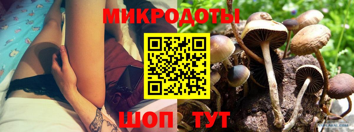 Галлюциногенные грибы GOLDEN TEACHER  Галлюциногенные грибы Magic Shrooms  Советский  Вход с VPN 
