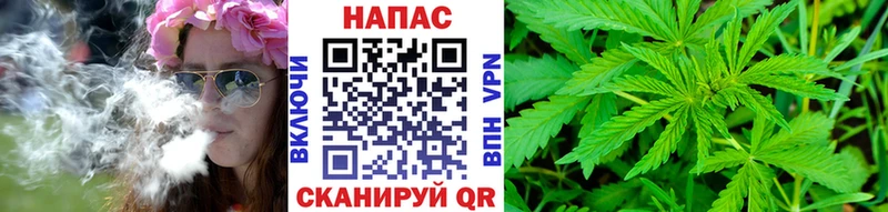OMG вход  Советский  Шишки марихуана гибрид 
