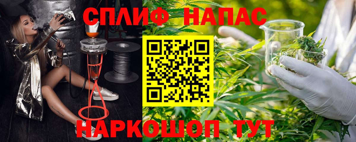 Бошки Шишки ГИДРОПОН Советский